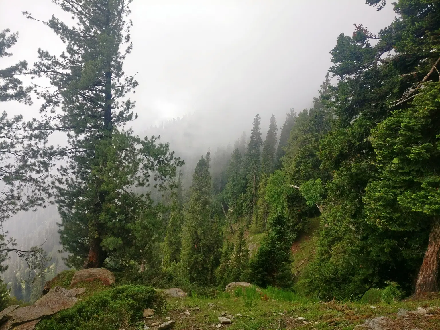 Photo from Amulya Singh's trip