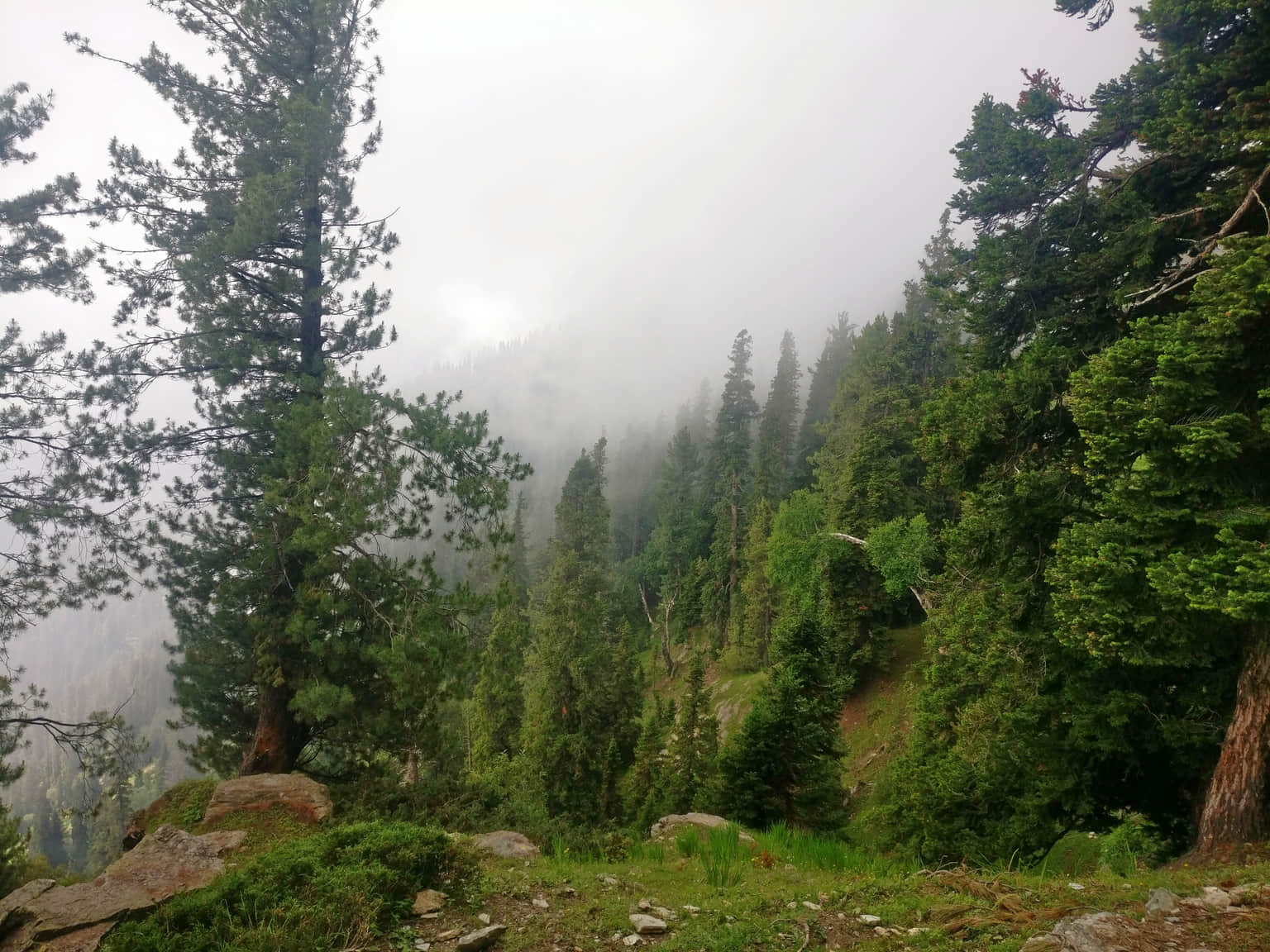 Photo from Amulya Singh's trip
