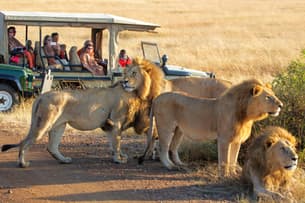 Dlf64moj08hq5y8nqpz7dcfxznwa shutterstock 1148264105