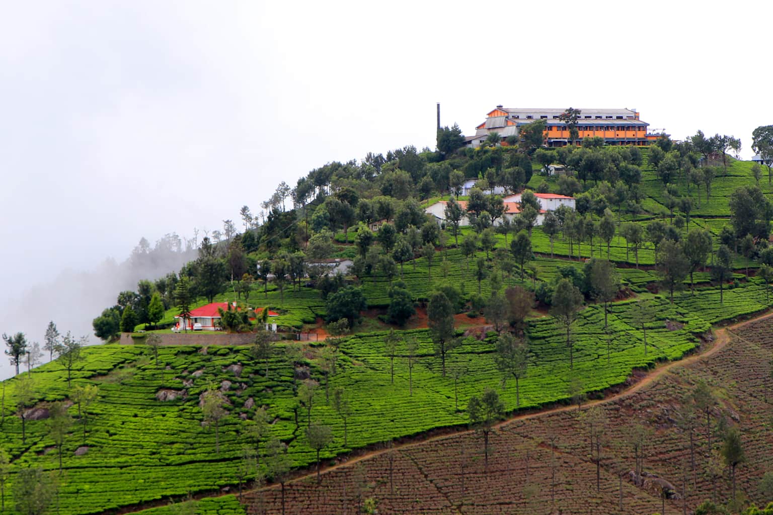 Best Homestays in Coonoor