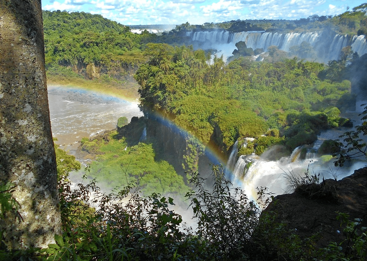 Salto Bernabe Mendez Overview