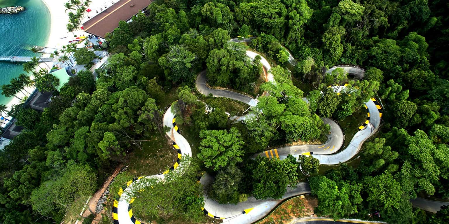 Turn with the Dragon Trail
