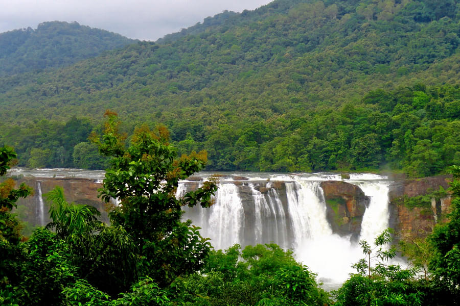 Munnar To Thrissur Sightseeing Tour Image