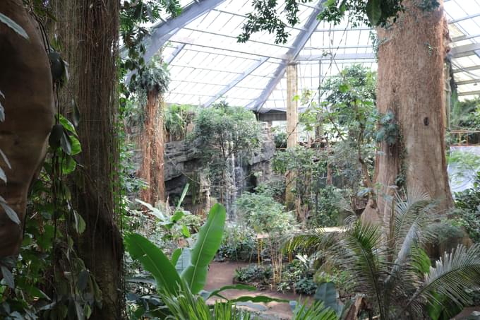 Lied Jungle of Henry Doorly