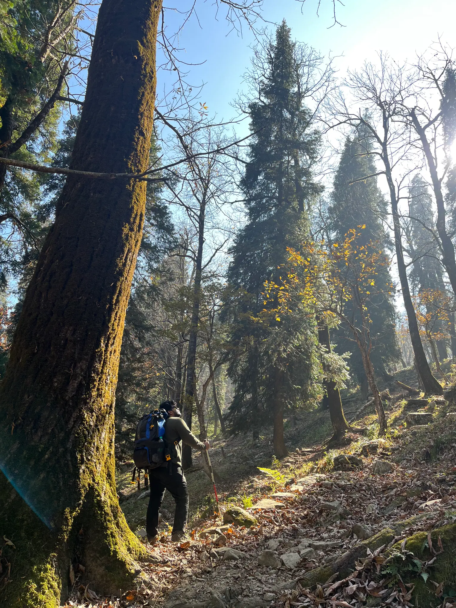 Photo from Dhiraj Ambekar's trip