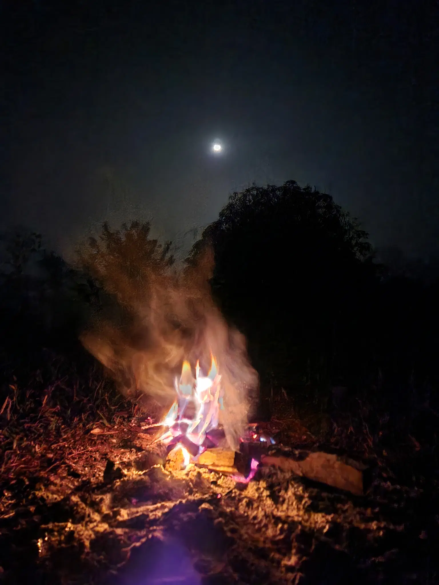 Photo from Sriram Ganesh's trip