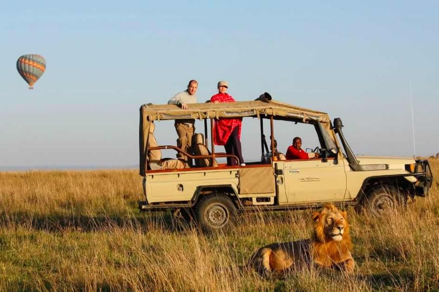 Small Group Safari