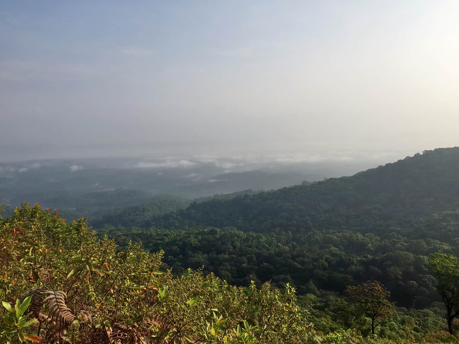 Photo from Anasuya Patil's trip