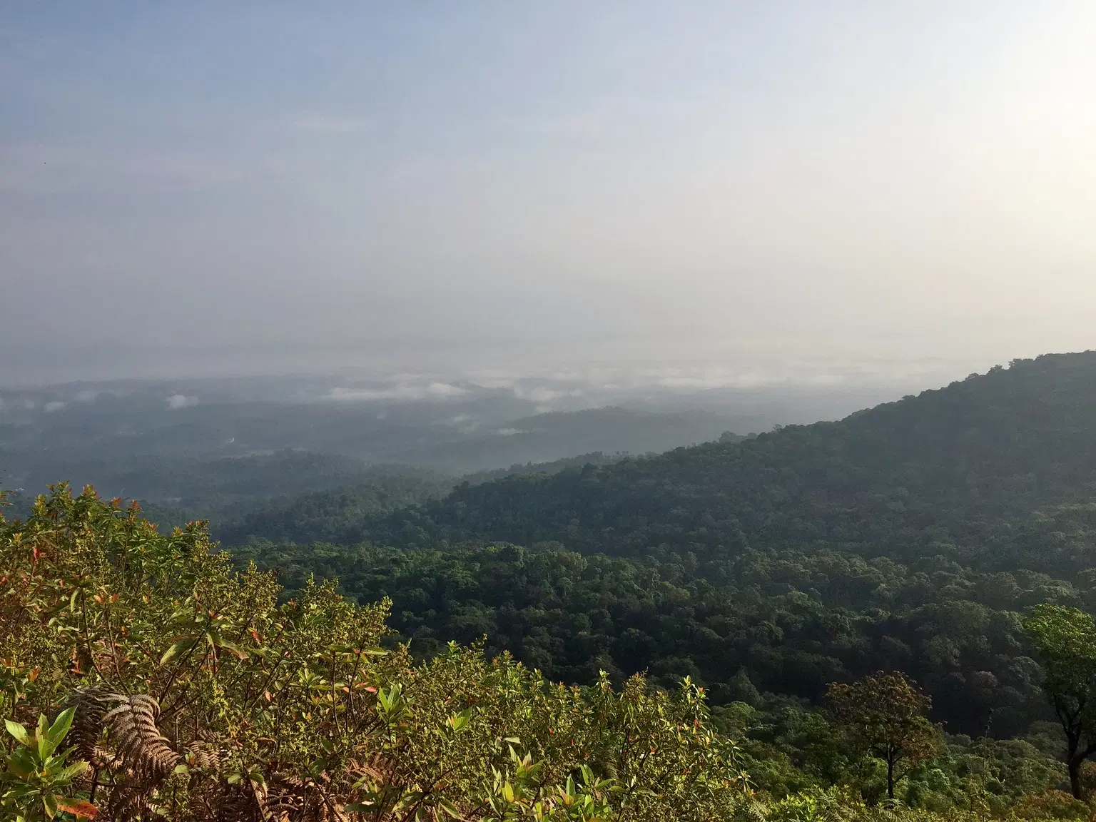 Photo from Anasuya Patil's trip