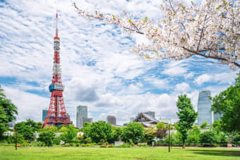 Japan Wonders | Love Amidst Cherry Blossoms & City Lights