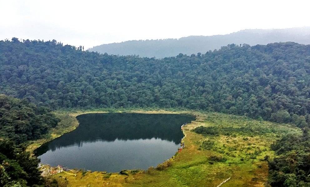 Pelling City Sightseeing Tour Image