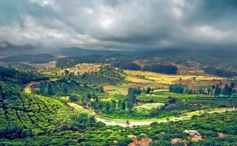Visit Ooty, one of the most beautiful hill stations in Southern India dotted with lush tea plantations