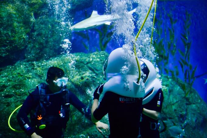 Deep Dive Dubai