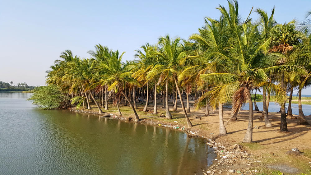 Beaches: Relax & Stroll Near Cool Water