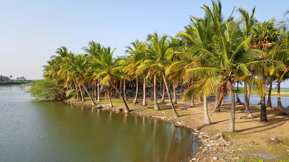 Tamil Nadu Tour Package From Bangalore