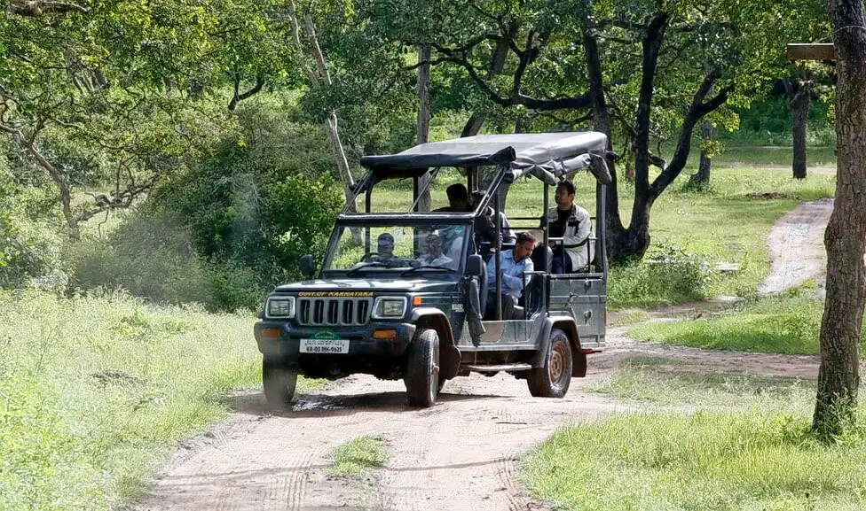 Nagarhole Safari, Coorg