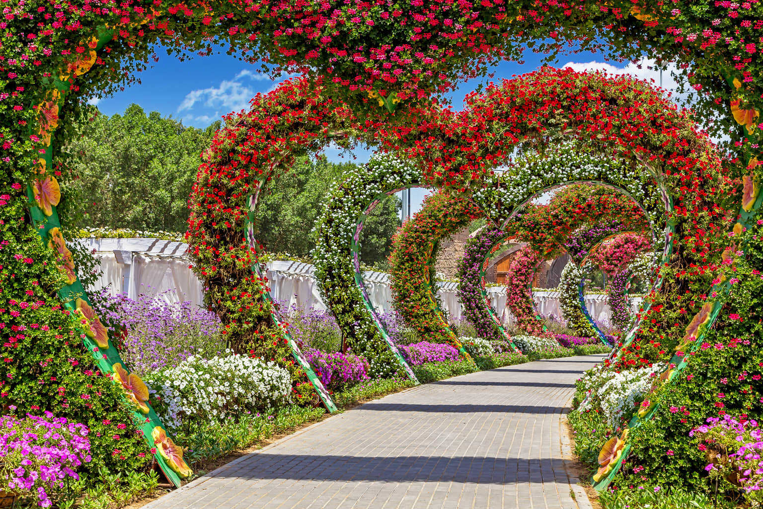 Heart Tunnel