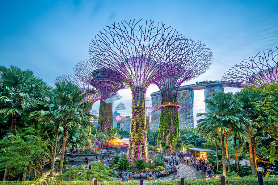 Singapore Malaysia Tour Package From Chennai Image