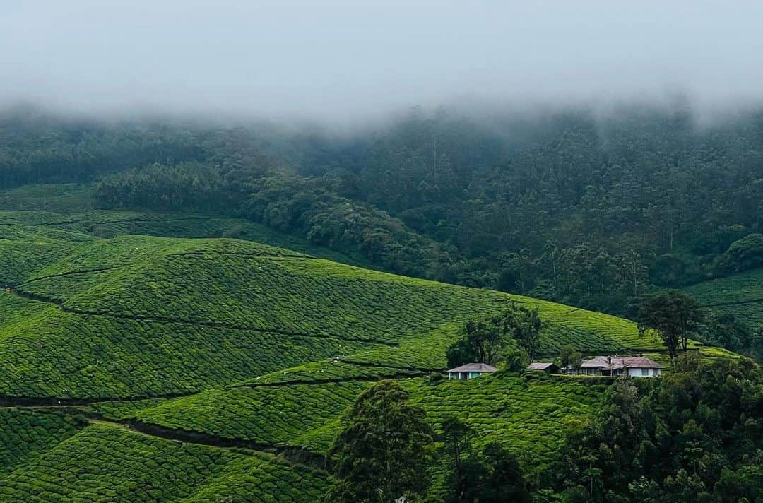 2nd Mile View Point, <em>Munnar</em>