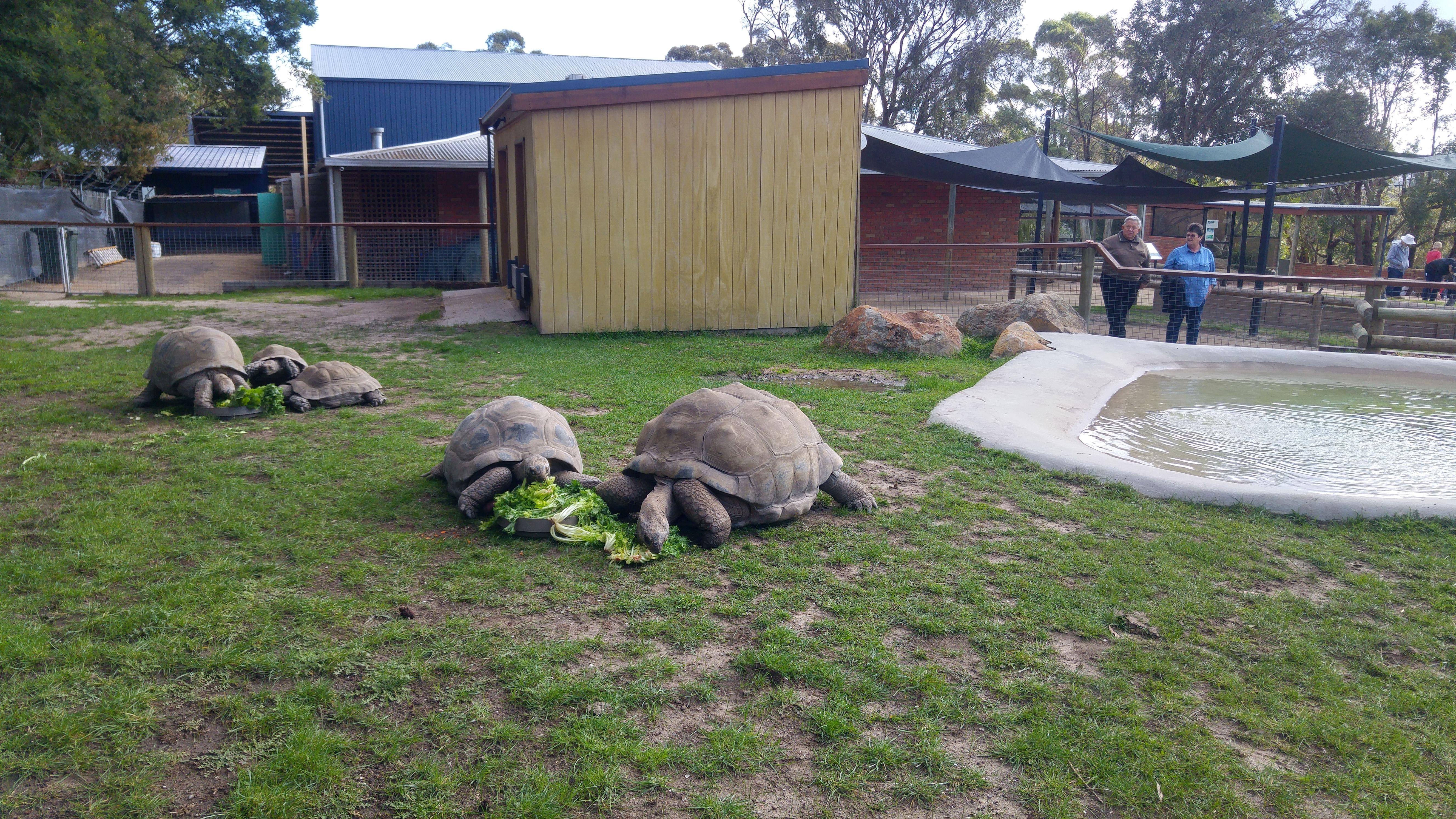 Ballarat Wildlife Park Animals