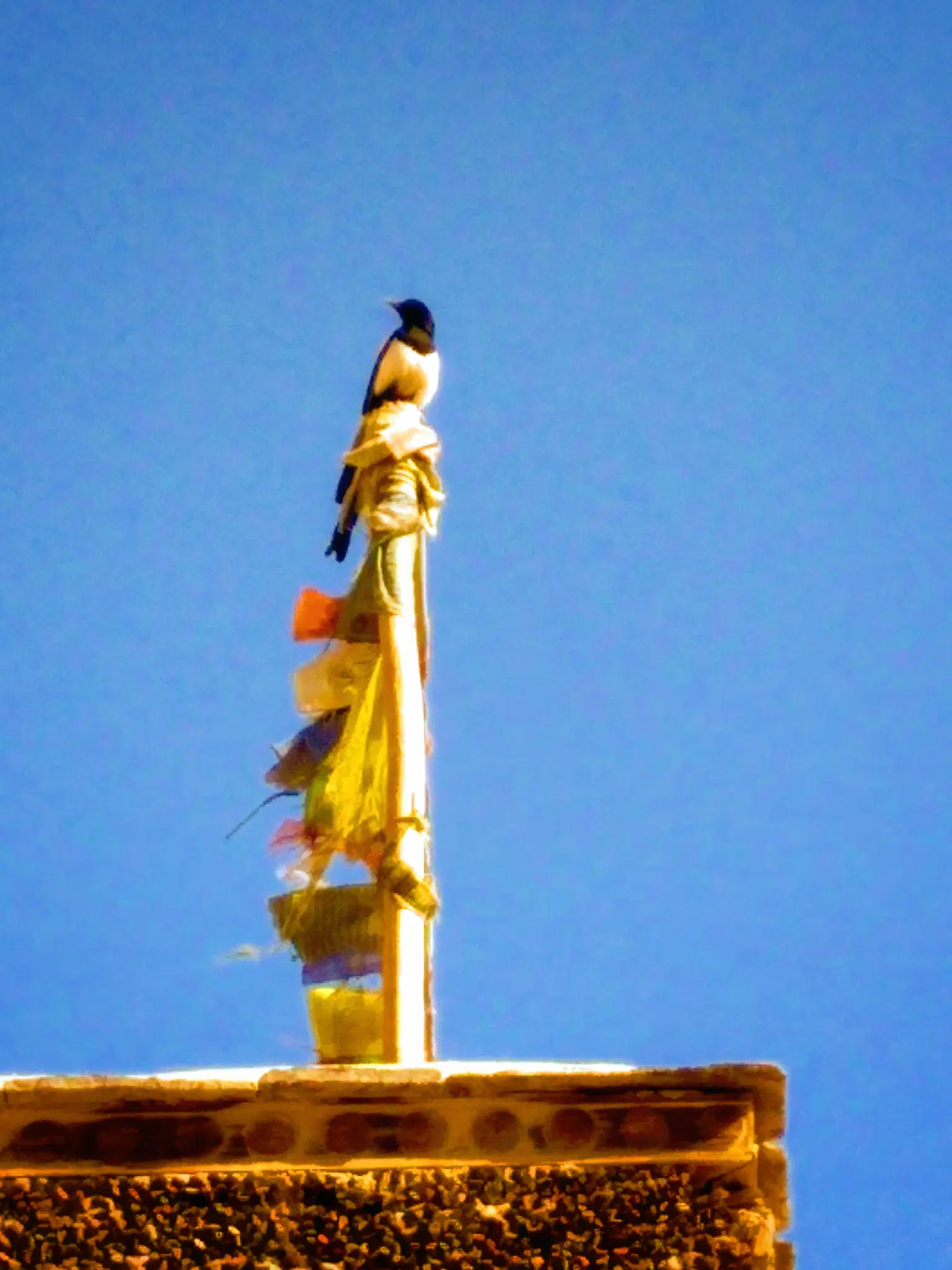 Photo from Chandan Nath's trip