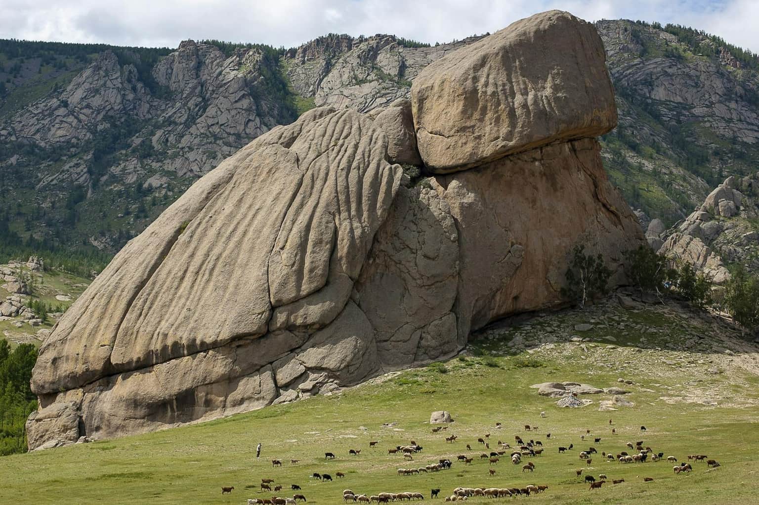 Turtle Rock