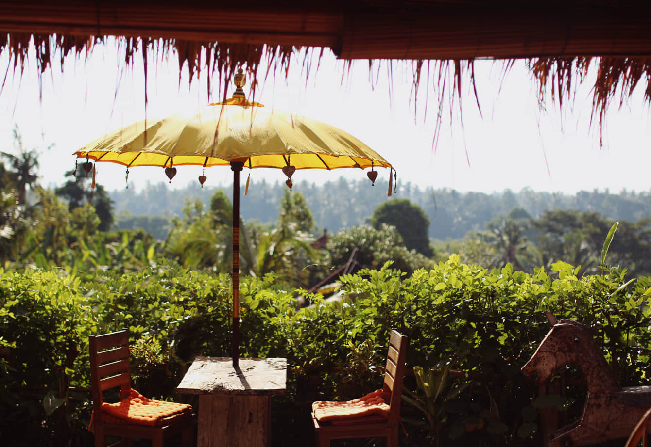 Relax at the Yellow Flower Cafe