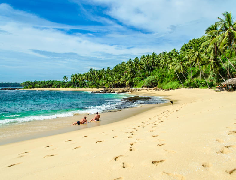 Paramotoring in Bentota Image