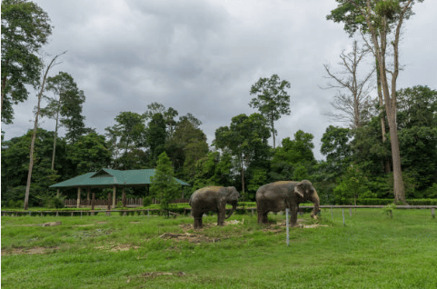Discover the Zoo