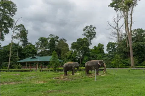 Discover the Zoo
