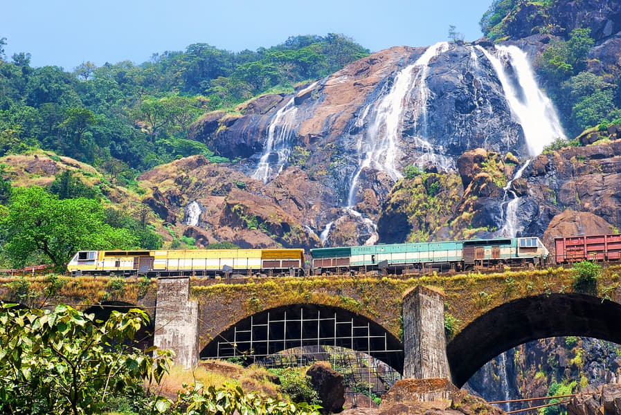 Dudhsagar Trek from Bangalore Image