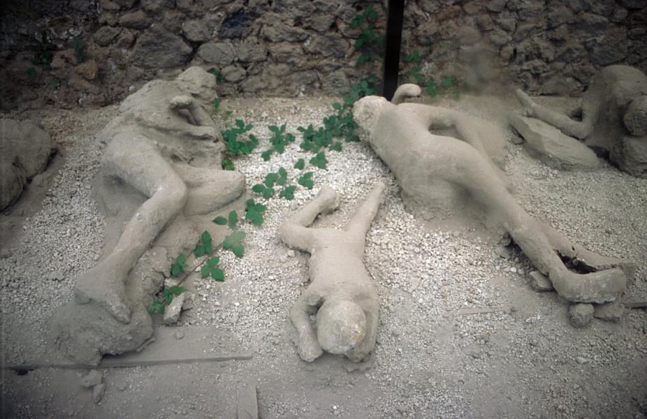 Plaster Casts of Victims