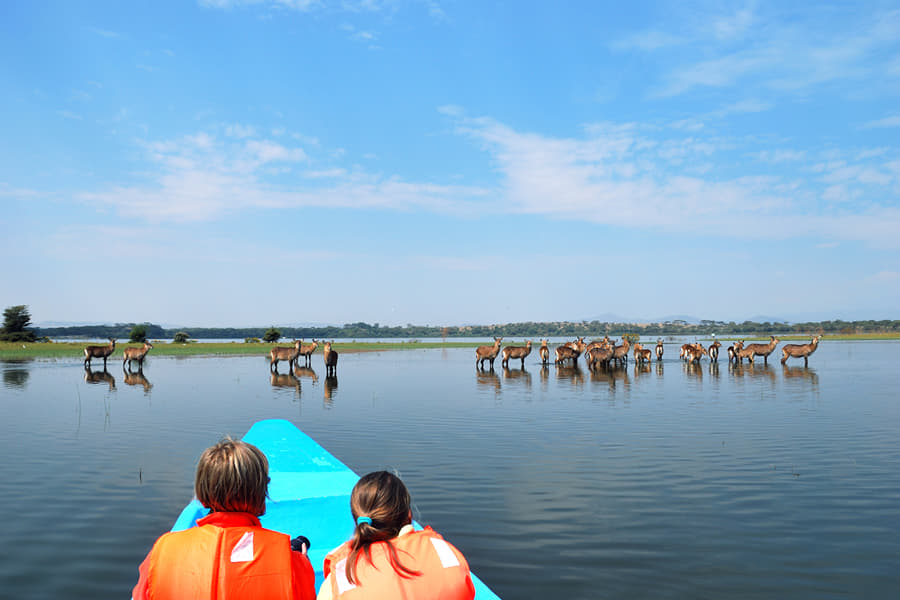 Boat Ride at Lake Naivasha Image