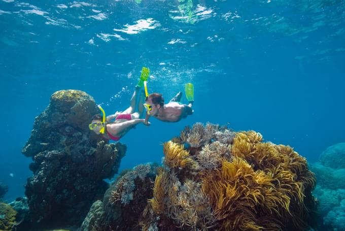 Great Barrier Reef Snorkeling