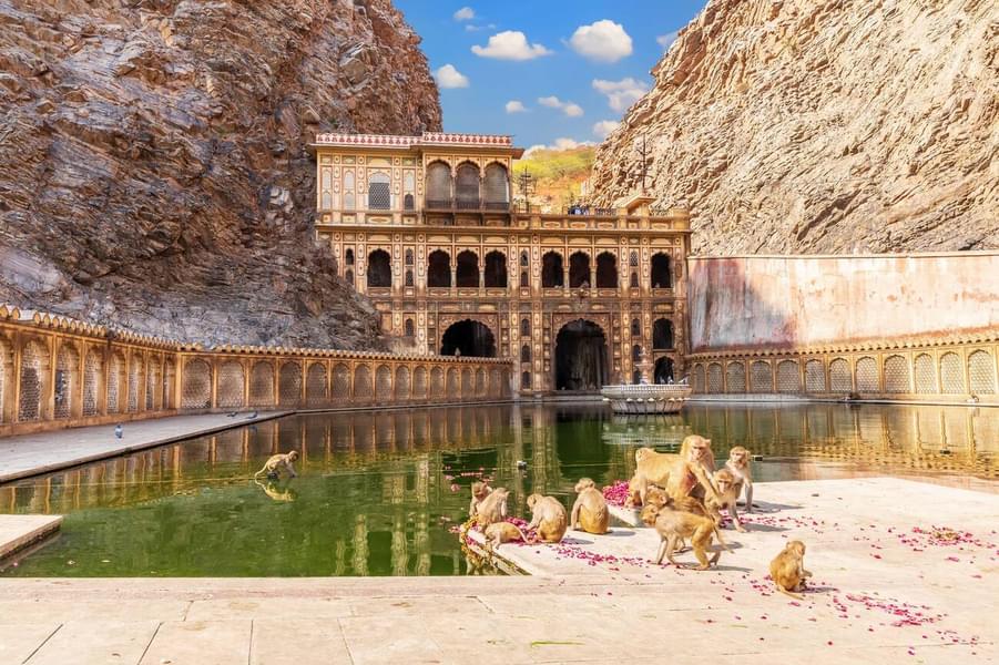 Jaipur City Sightseeing Tour Image