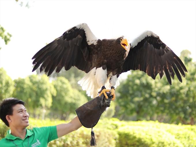 bird show dubai