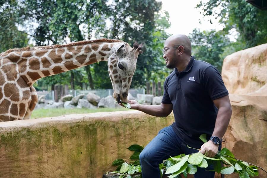Get up close and personal with exotic animals at Negara Zoo
