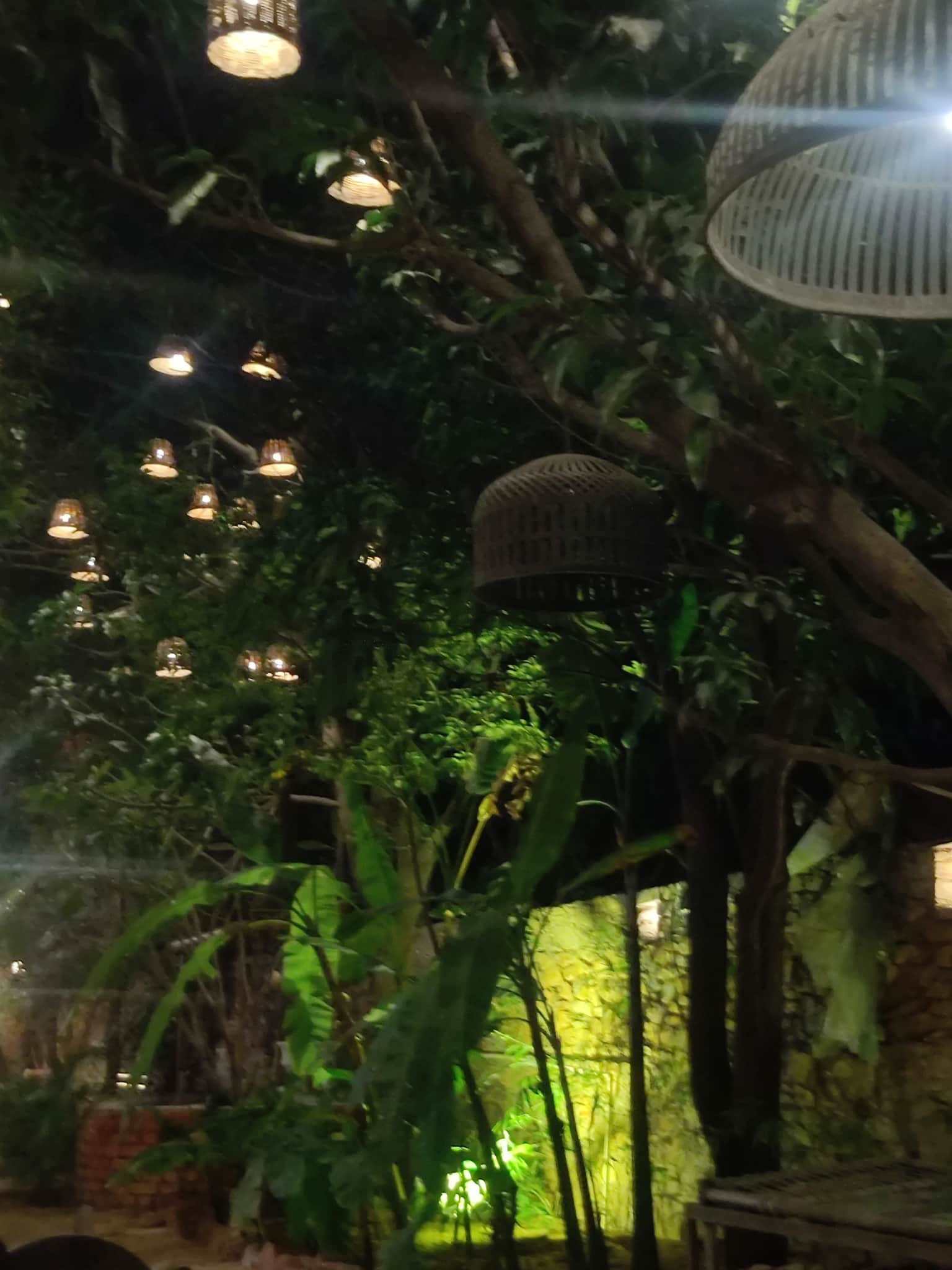Photo from Sakshi Dang's trip