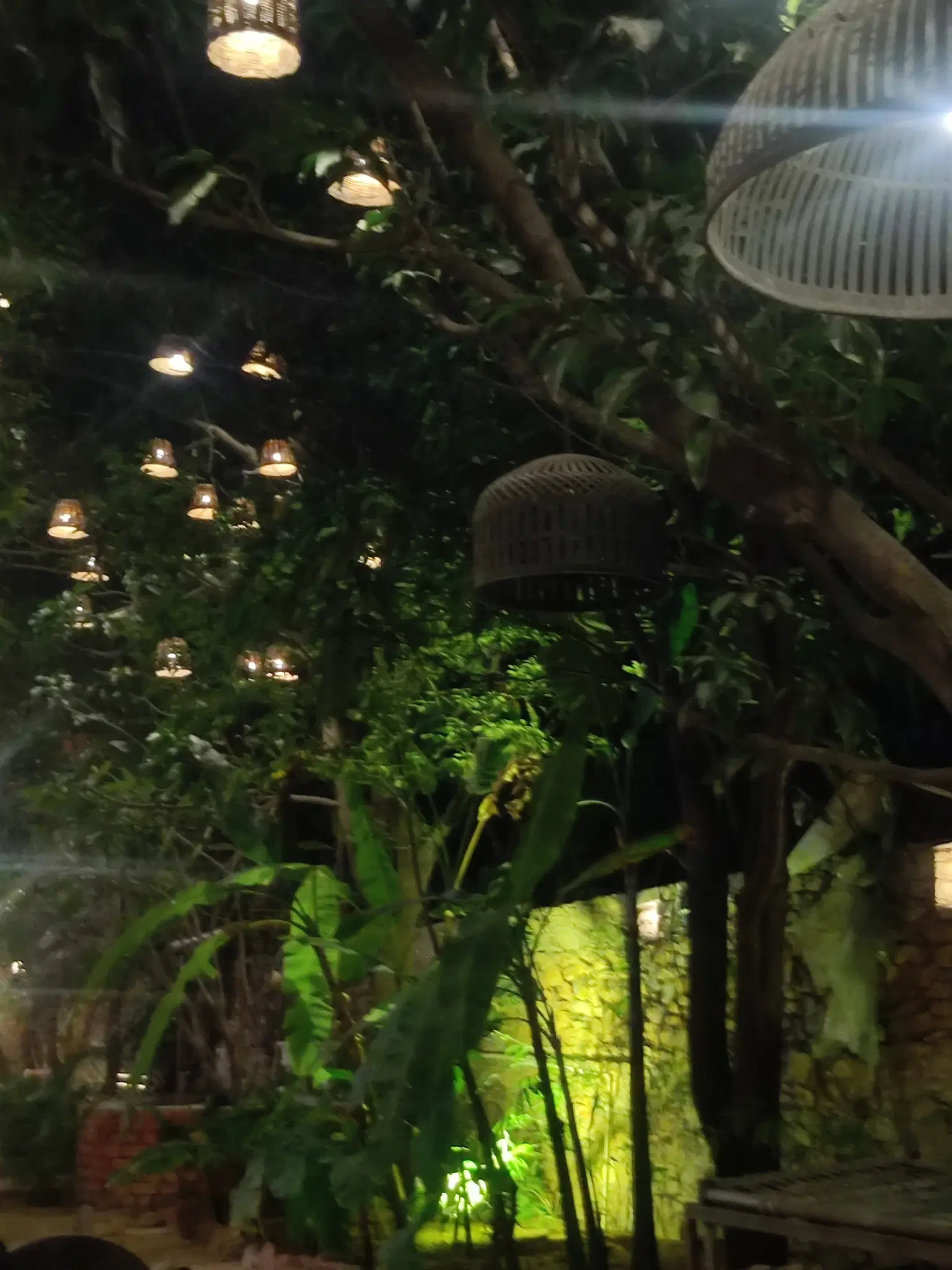 Photo from Sakshi Dang's trip