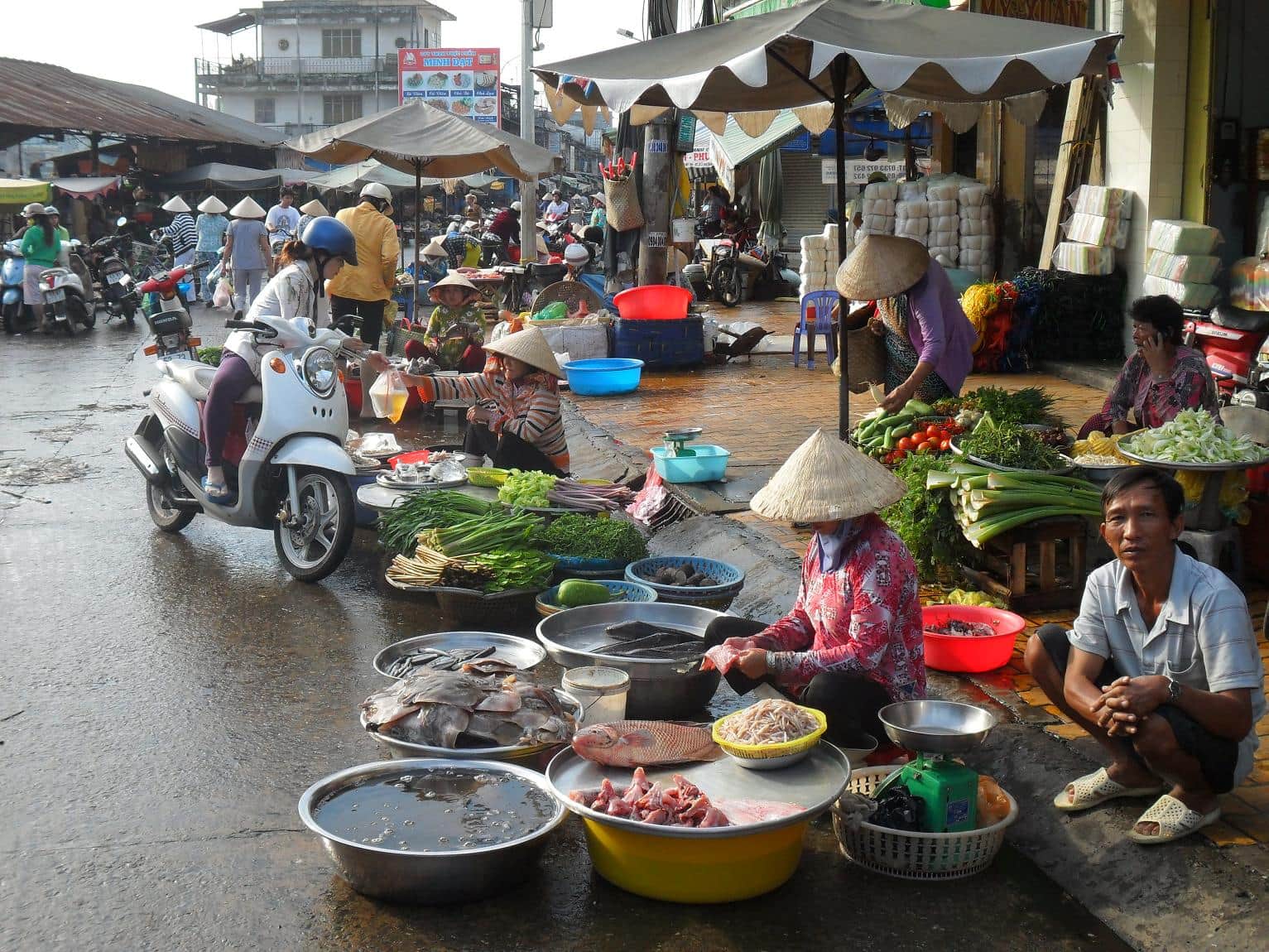 Explore the local market