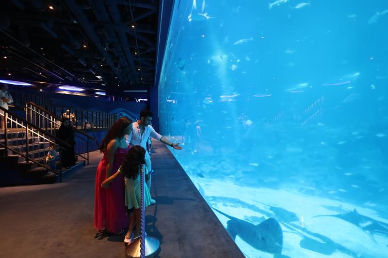 S.E.A. Aquarium, Singapore: How To Reach, Best Time & Tips