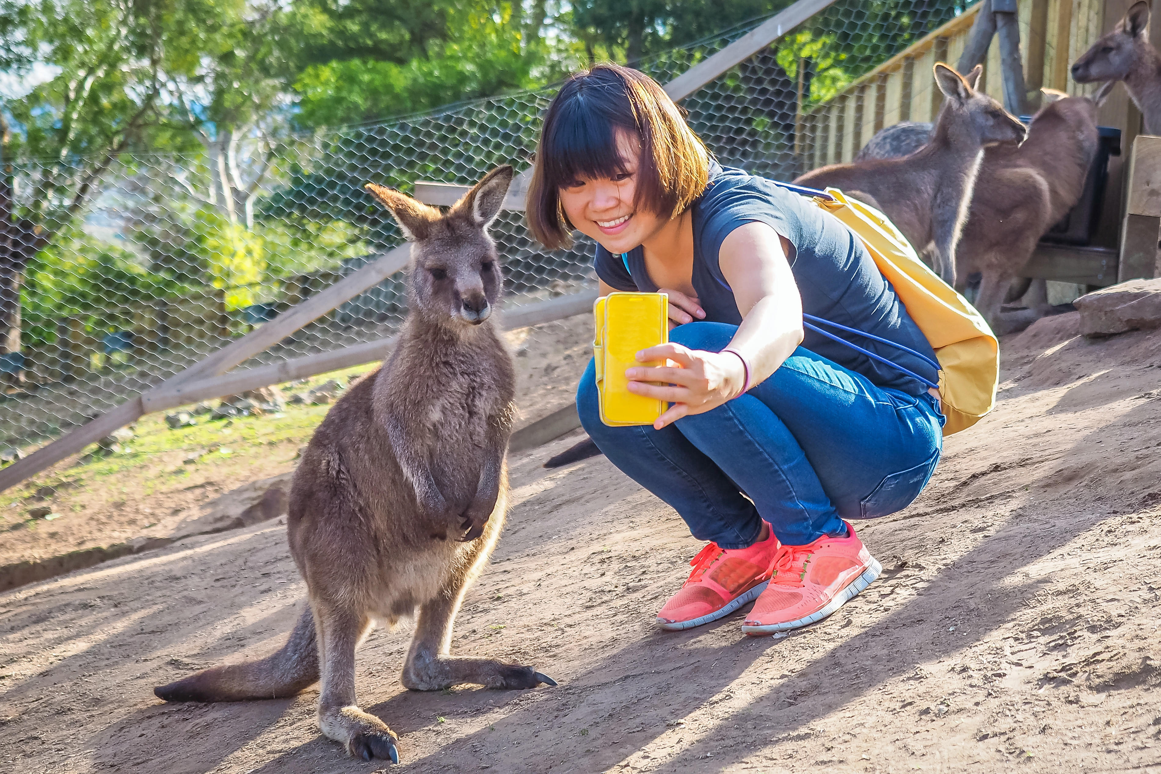 Click some Insta-worthy pictures with Kangaroos.