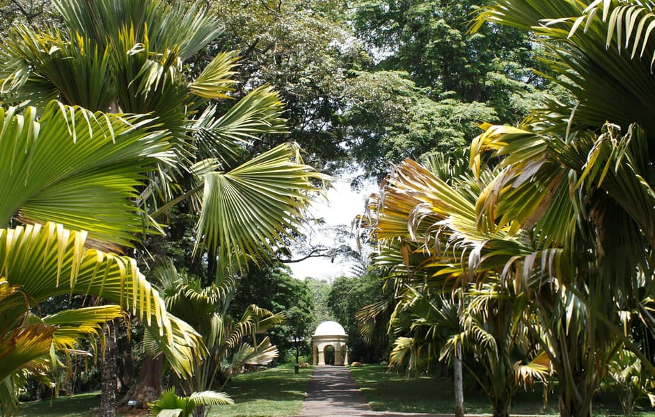 Exotic Sri Lanka | Couple Special Image