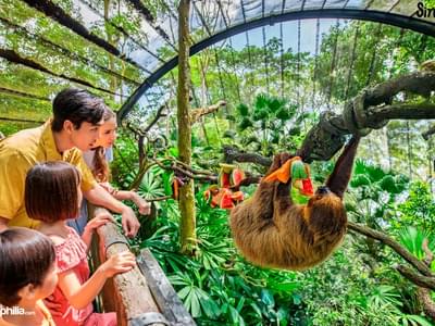 Visit the Singapore Zoo that houses more than 300 species