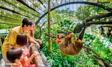 Visit the Singapore Zoo that houses more than 300 species
