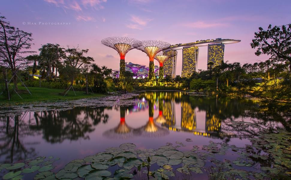 Strolling Through the Gardens by the Bay