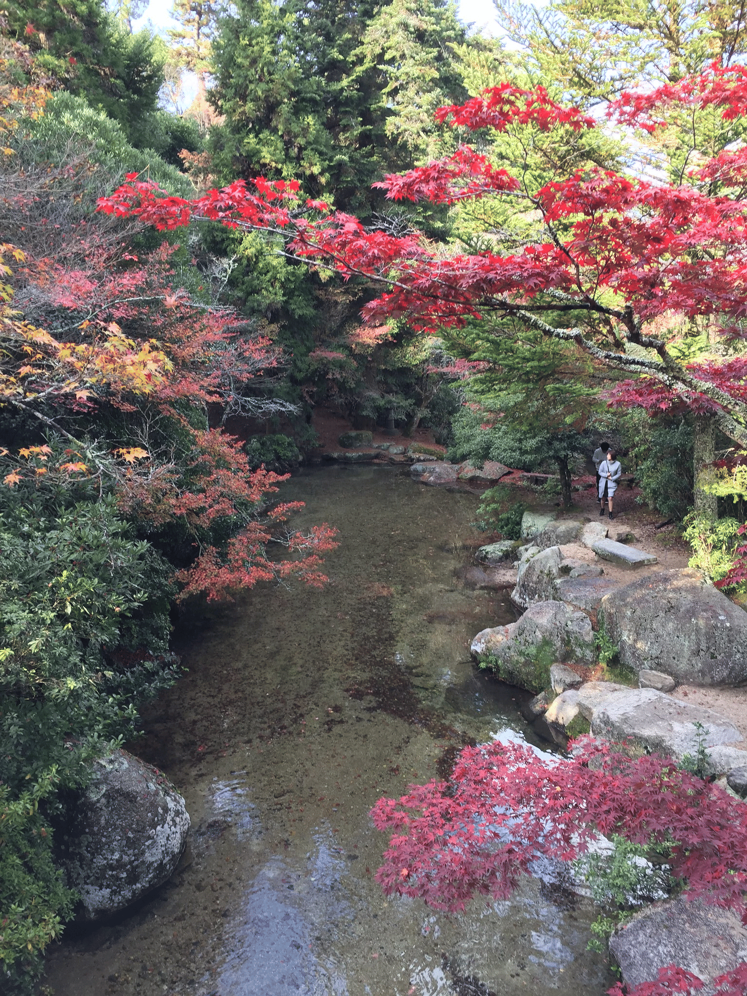 Sit by the banks of Momijidani River
