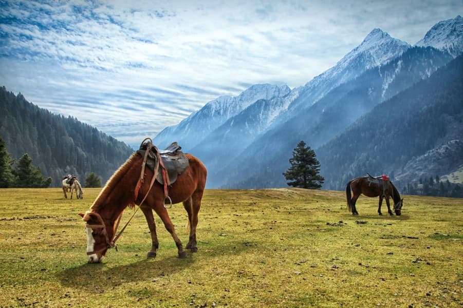 Scenic Kashmir with Vaishno Devi | A Sacred Vacation Image
