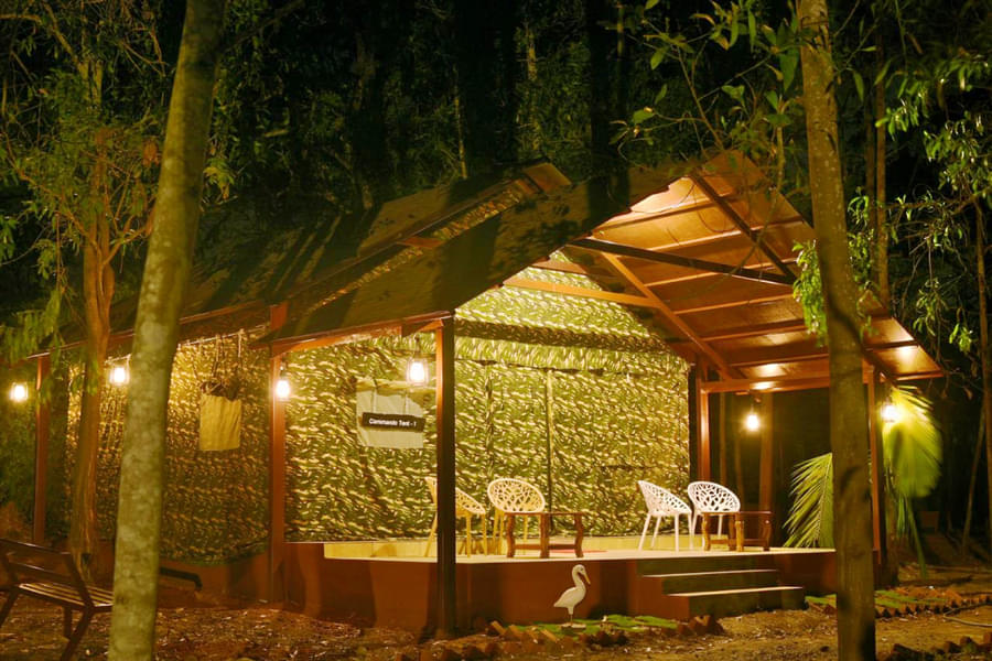 Stay Experience by Acacia Forest: An Escape into the Woods Image