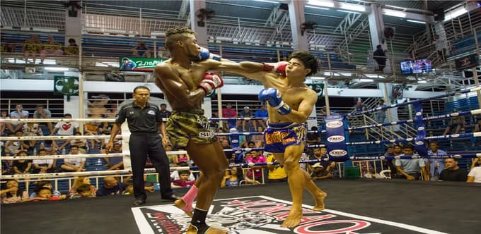 See the boxers giving their all